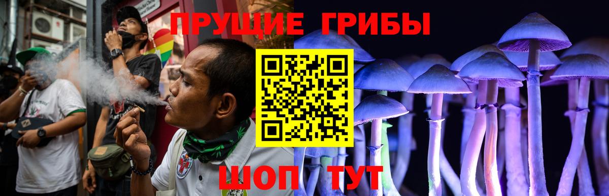 Псилоцибиновые грибы Psilocybine cubensis  Вход с VPN  Михайловск 